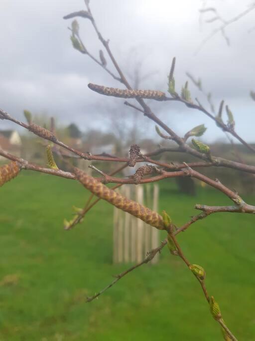 Doris Βίλα Wedmore Εξωτερικό φωτογραφία